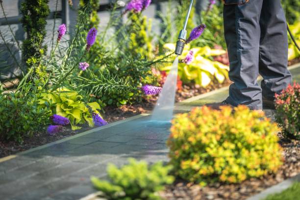 Best Sidewalk and Walkway Pressure Cleaning in Mahanoy City, PA